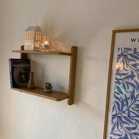 Apartman Bredgade 10 *